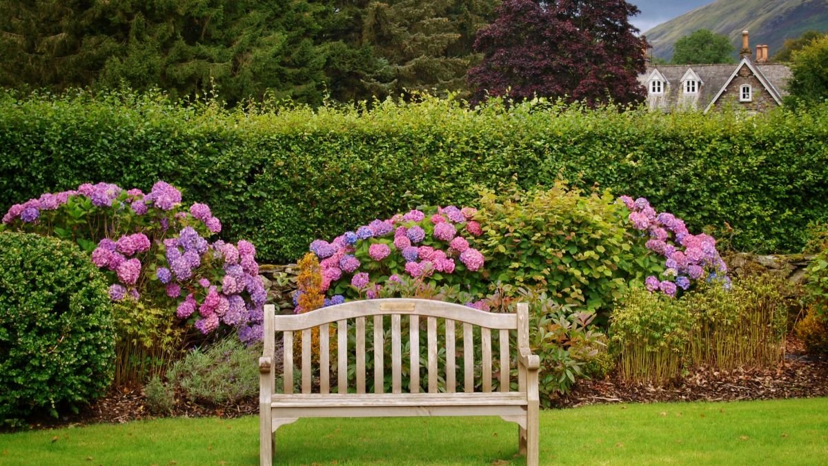 Eine grüne Hecke umrahmt einen Garten mit bunten Hortensien und einer Holzbank.