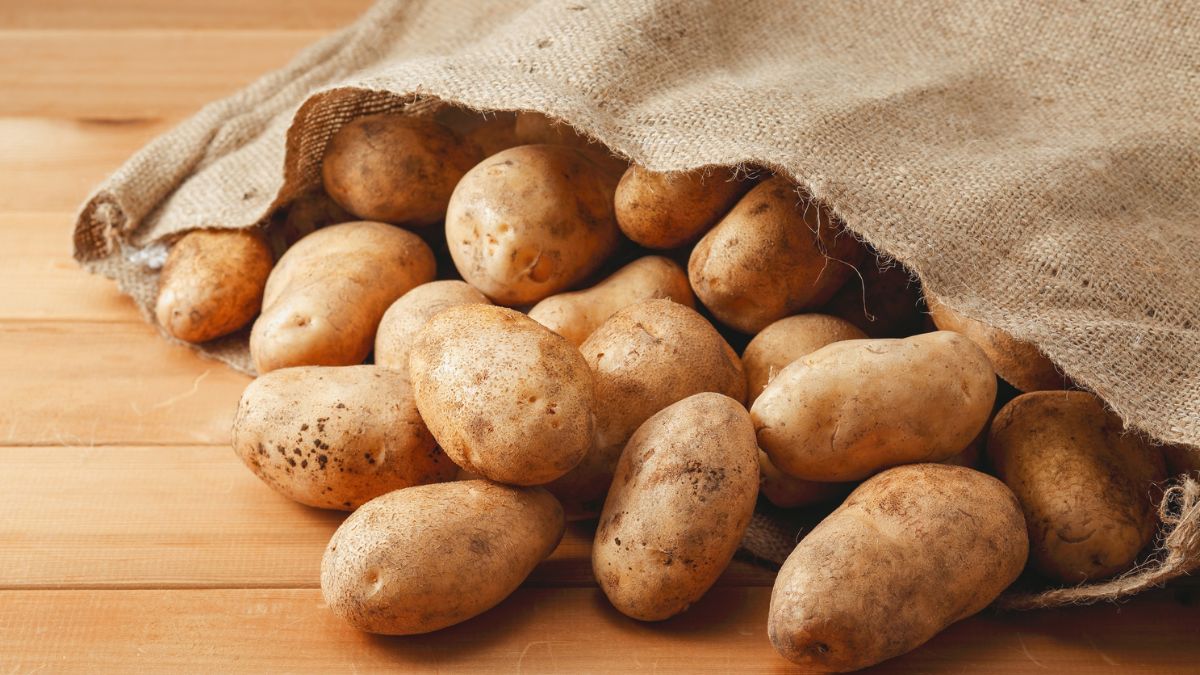 Eine Auswahl frischer Kartoffeln, die aus einem Jutesack auf einen Holztisch gefallen sind.