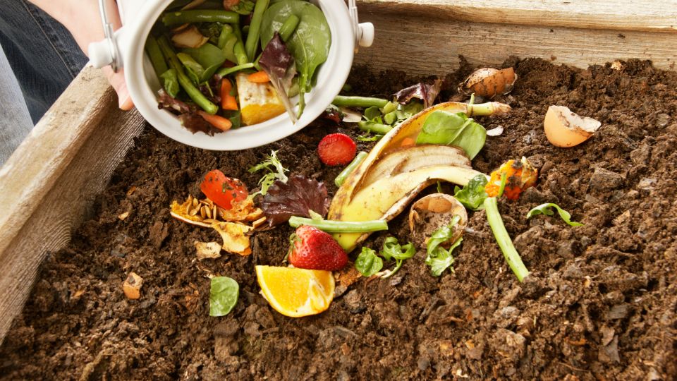 Eine Person kippt frische Küchenabfälle in einen Komposthaufen im Garten.