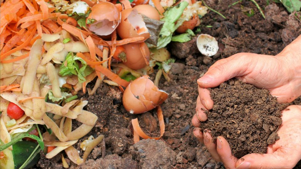 Eine Hand hält fruchtbaren Kompost neben organischen Abfällen im Garten.