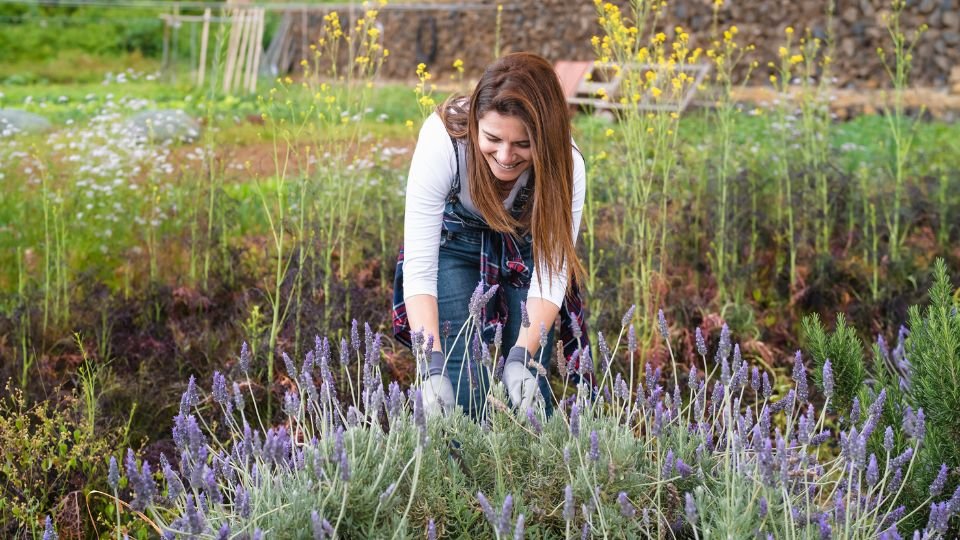 Eine Frau pflegt Lavendel in einem bunten Garten mit verschiedenen Pflanzen.