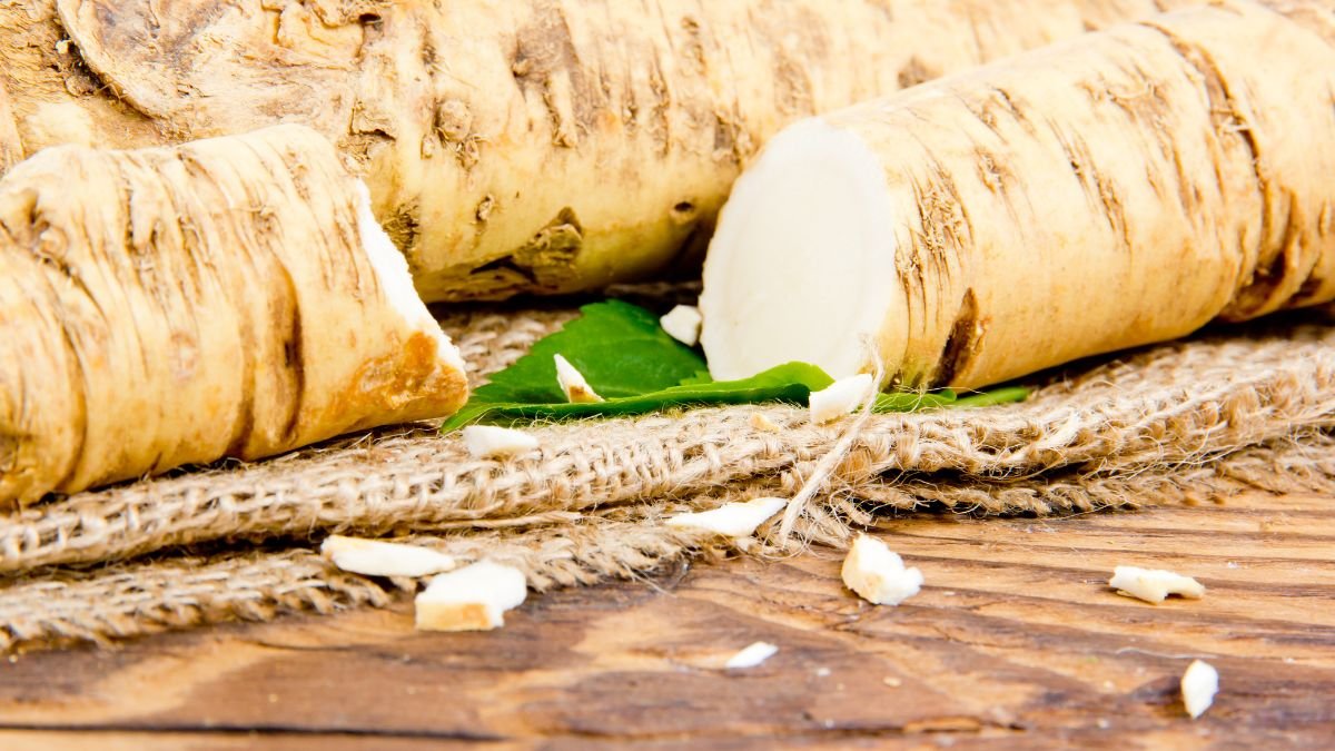 Frische Meerrettichwurzeln und Blätter auf einem rustikalen Tisch.