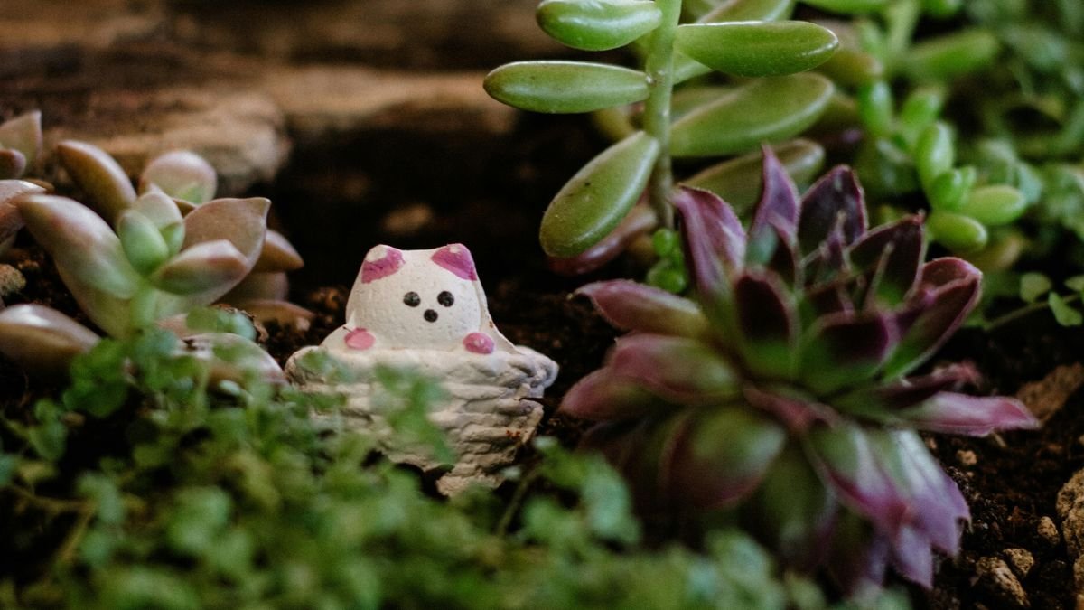 Miniaturgärten: Klein, aber fein Ein niedlicher Miniaturgarten mit Sukkulenten und einer kleinen Tierfigur.