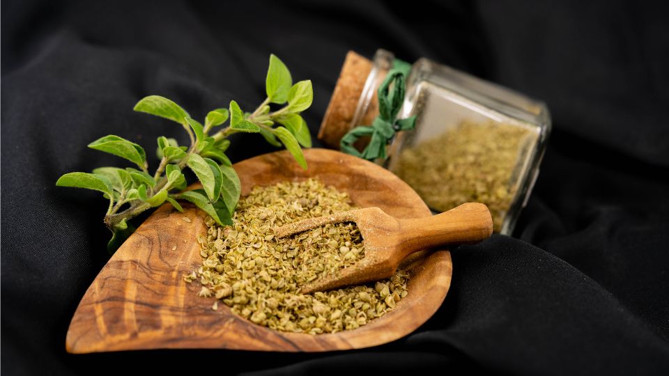 Oregano (Origanum) Frische Oregano-Blätter und getrocknete Oregano-Kräuter in einer Holzschale.
