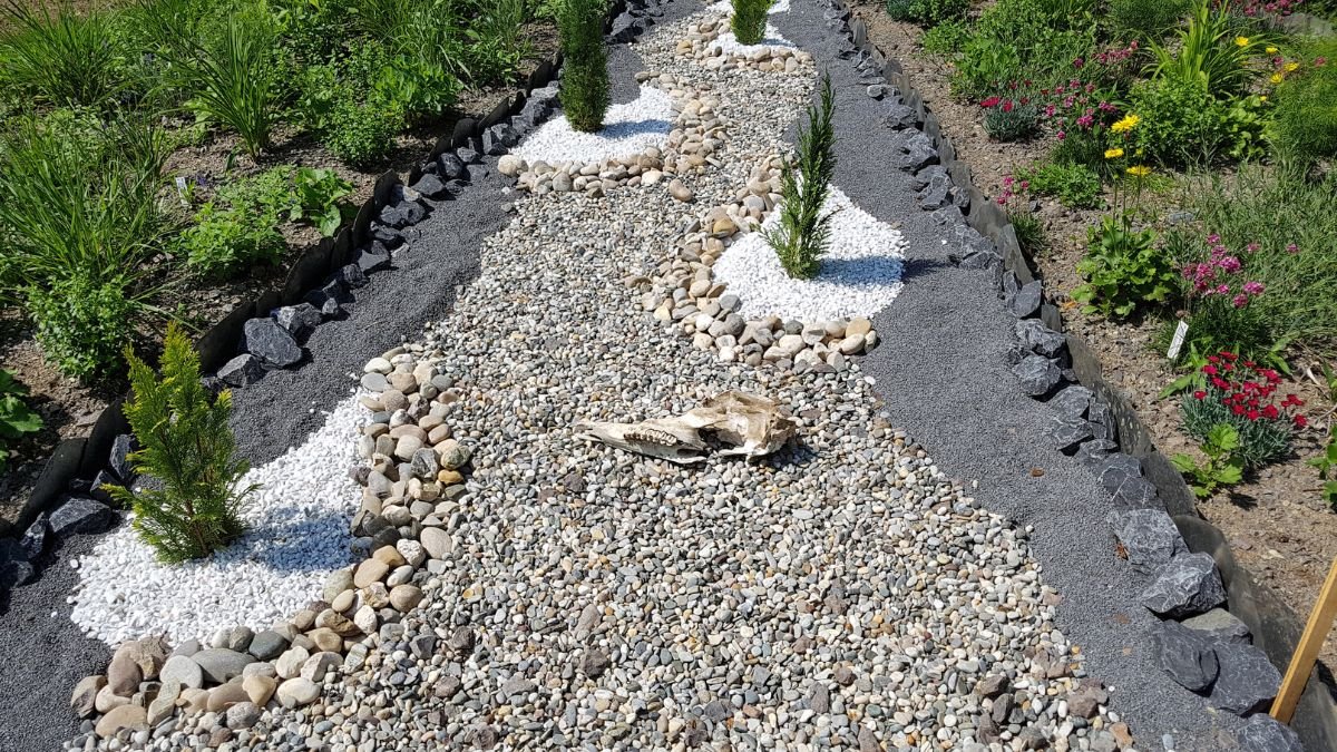 Ein Kiesgarten mit Steinen, Pflanzen und einem Tierknochen als Dekoration.