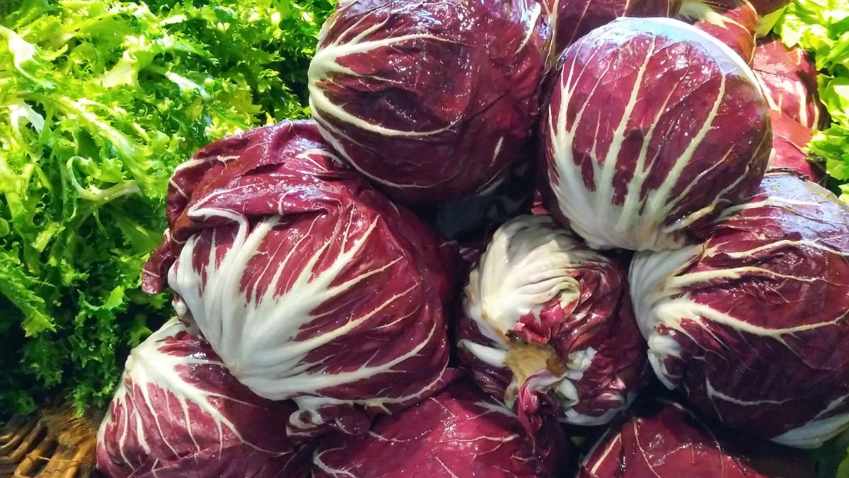 Frische Radicchio-Köpfe mit rot-violetten Blättern und grüner Salat im Hintergrund.