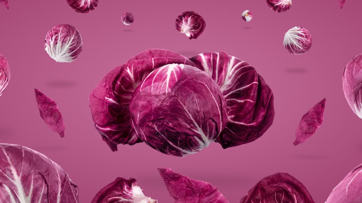 Radicchio-Köpfe in verschiedenen Größen und Formen auf einem pinken Hintergrund.