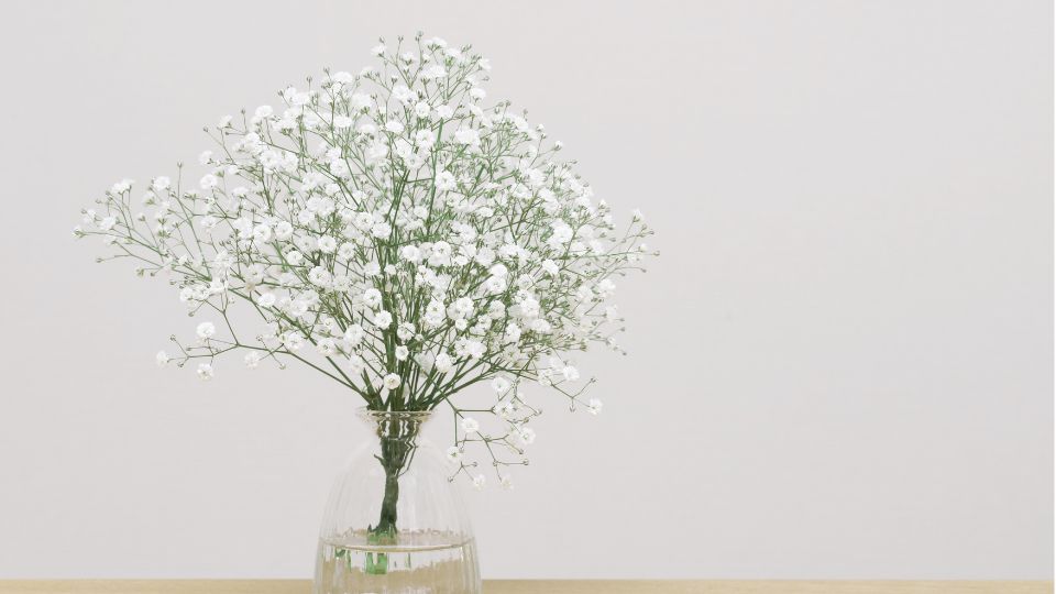Ein Strauß Schleierkraut mit kleinen weißen Blüten in einer Glasvase.