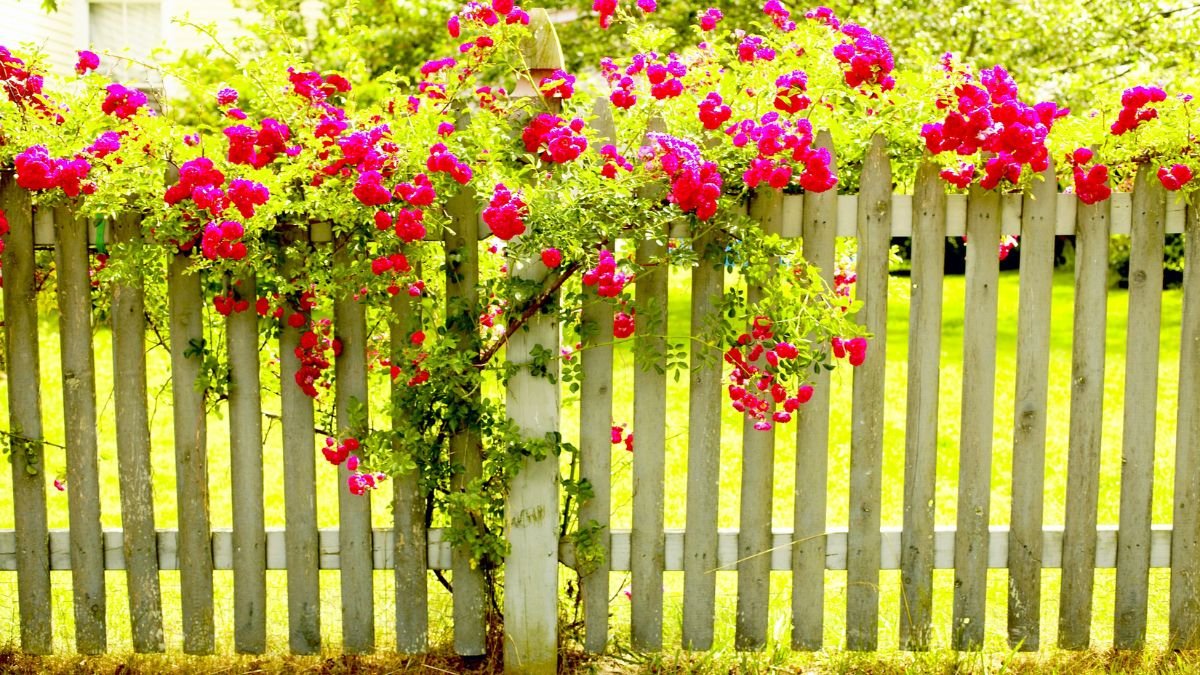 Ein schöner Holzzaun mit bunten Blumen, der einen Garten im Landhausstil umrahmt.