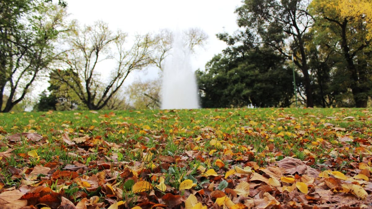 Herbstliches Gartenbild mit bunten Blättern auf dem Boden und einem Brunnen im Hintergrund.