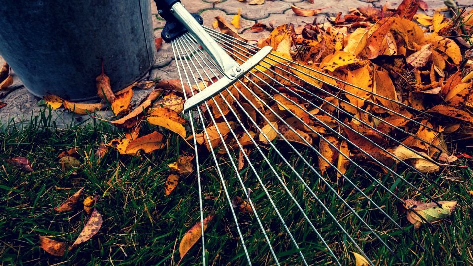 Ein Rechen liegt auf einem Haufen bunter Herbstblätter im Garten.