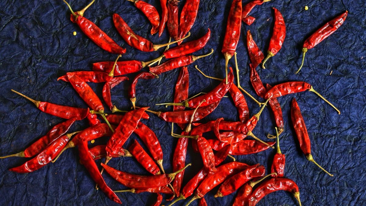 Eine Ansammlung von roten Chili-Schoten auf einem blauen Hintergrund.