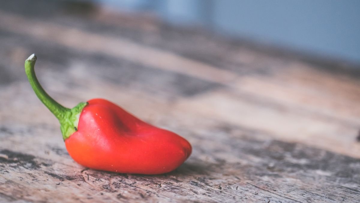 Eine frische rote Chili auf einem rustikalen Holztisch.