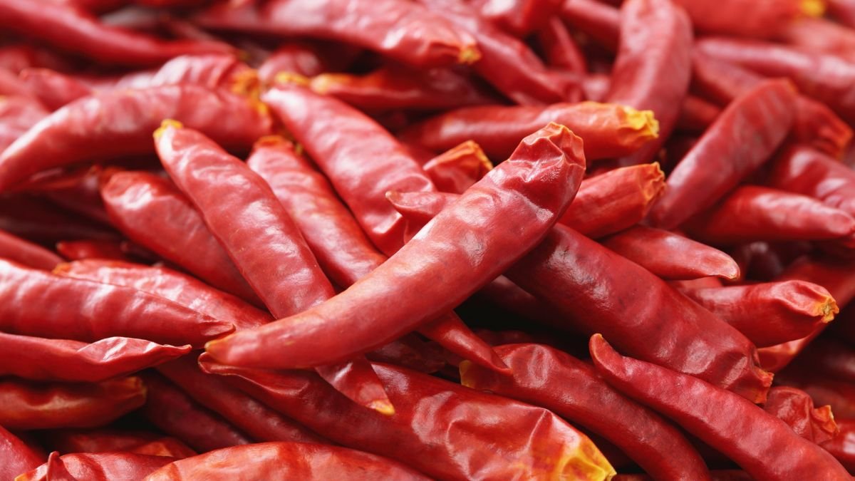 Eine Ansammlung von roten Peter Pepper Chilis, die frisch und scharf aussehen.