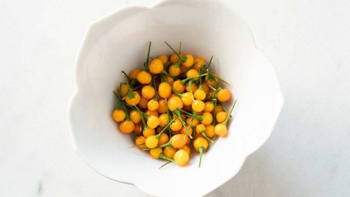 Eine Schüssel mit leuchtend gelben Aji Charapita Chilis, frisch geerntet.