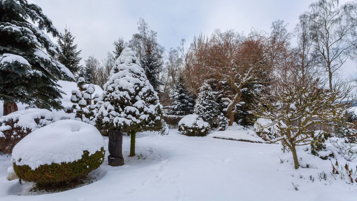 Ein verschneiter Garten mit verschiedenen Bäumen und Sträuchern, die unter Schnee verborgen sind.