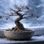 Winterszene mit Bonsai, kahle Äste und ruhender Baum nach Blattverlust