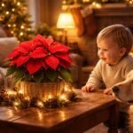 Eine bunte Adventslandschaft mit Weihnachtsstern, Kind beobachtet vorsichtig die Pflanze.