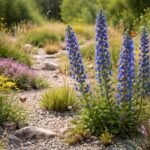 Gewöhnlicher Natternkopf im Naturgarten, blaue Blütenkerzen, Bienen und Schmetterlinge lockt.