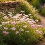 Kuhnelke mit zarten Blüten in buntem Staudenbeet unter Sonnenlicht und Duft von Nelken
