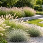 Lampenputzergras-Panicles wehen sanft im Wind; pflegeleicht; elegante Beetakzente; moderne und naturnahe Gärten