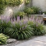 Lilienartige Lilientraube im Halbschatten mit traubigen Blütenständen und eleganten Blättern