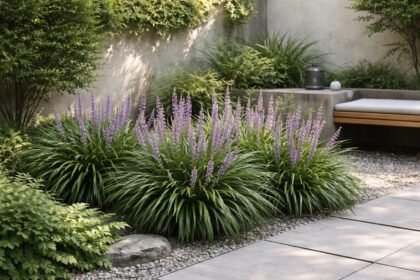 Lilienartige Lilientraube im Halbschatten mit traubigen Blütenständen und eleganten Blättern