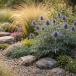 Mannstreu Eryngium mit metallischem Glanz, strukturiert Beet, natürlich wirkend und wildem Charakter
