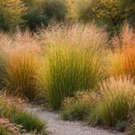 Rutenhirse im Garten: lockerer Wuchs, feine Rispen, herbstliche Farben, pflegeleicht.