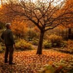- Apfelbaum ohne Früchte im Herbst, umliegendes Gärtnerwerkzeug und Laub auf dem Boden.