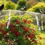 Obstkorb im Garten, neugierige Vögel beobachten Schutznetze und wirksame Abwehrmaßnahmen gegen Fruchtverlust