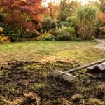Herbstliche Rasenpflege zur Regeneration eines braunen, lückenhaften Rasens nach heißem Sommer