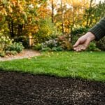 Grüner Rasen im Herbst mit passender Rasensamenmischung für dichte, gesunde Grasflächen