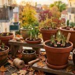 Blumenzwiebeln in Töpfen verwandeln den Balkon bereits im Herbst in eine frühlingshafte Blütenoase