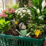 Saftig grüne Discounter-Pflanzen zwischen Einkaufswagen und bunten Blüten im Supermarkt