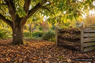 Walnusslaub im Garten: Hinweise zur richtigen Kompostierung und Verwendung im Herbst