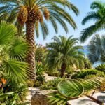 Palmenblätter und Stammmerkmale zur sicheren Bestimmung verschiedener Palmenarten im Garten